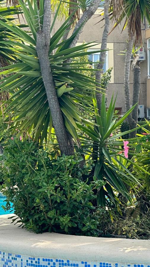 Ferienwohnung La Rosaleda 17 Dénia Exterior foto